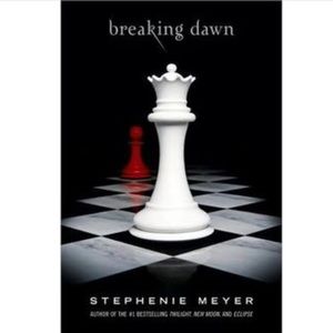 NWOT Breaking Dawn Hardback Novel